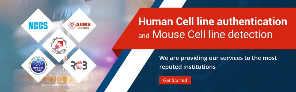 Cell Line Authentication DNA test in India