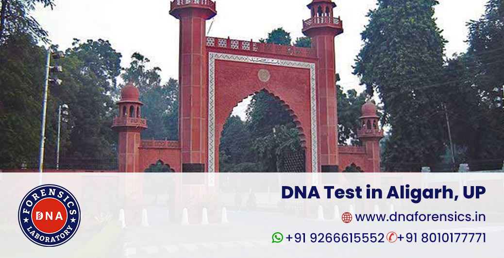 DNA Test in Aligarh