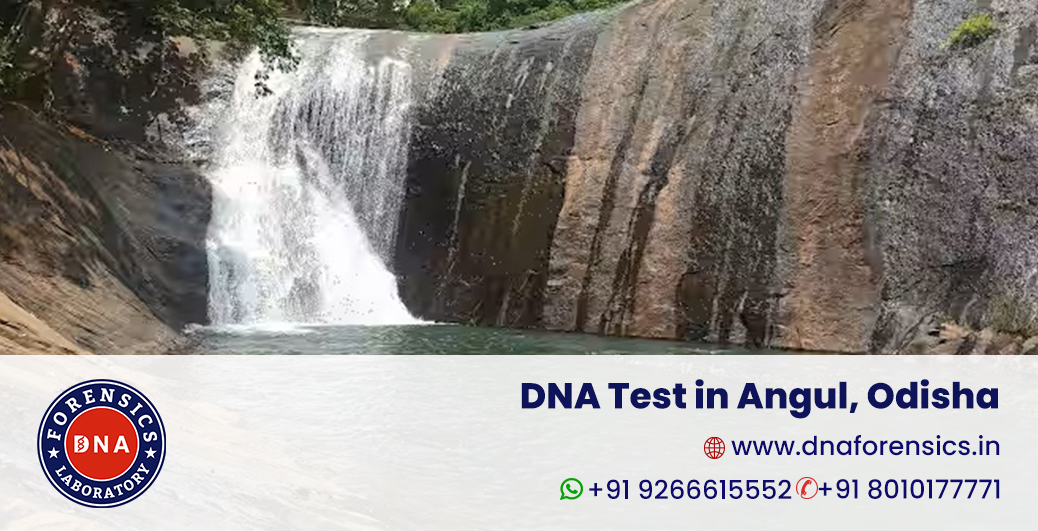 DNA Test in Angul