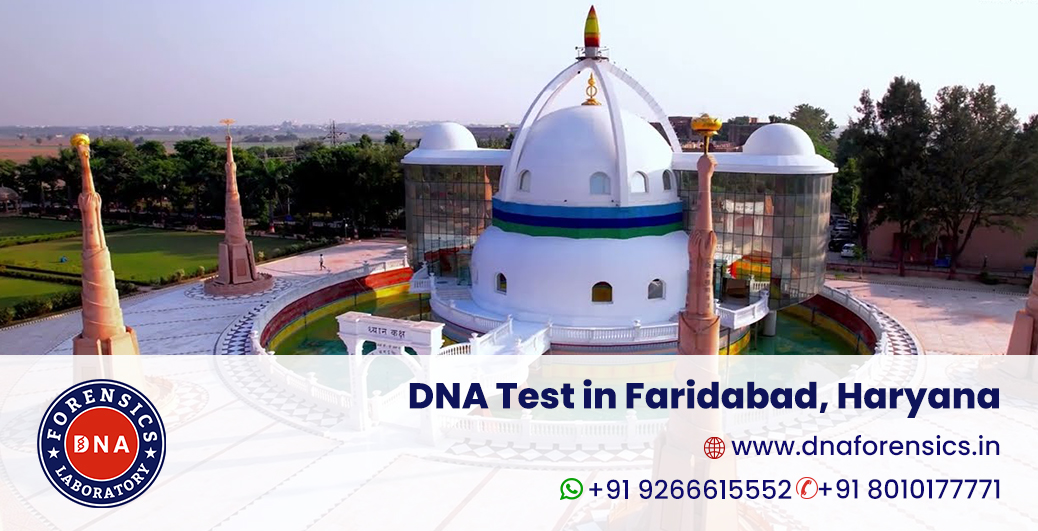 DNA Test in Faridabad