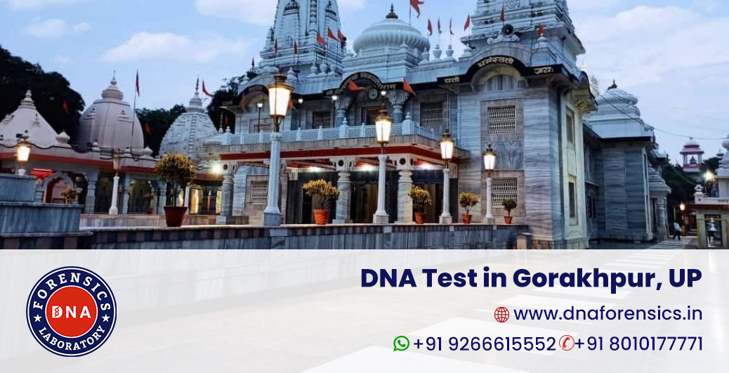 DNA test in Gorakhpur