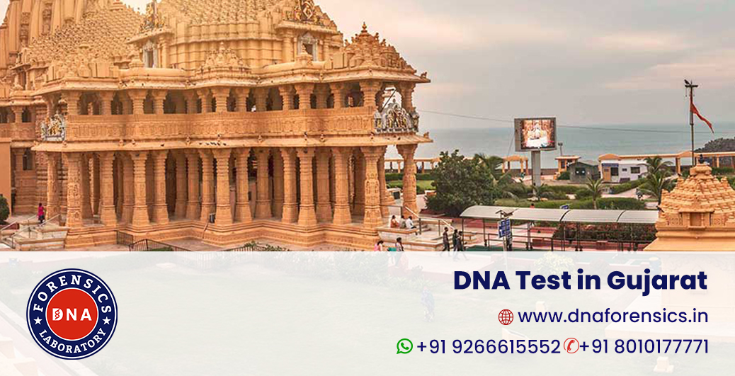 DNA Test in Gujarat