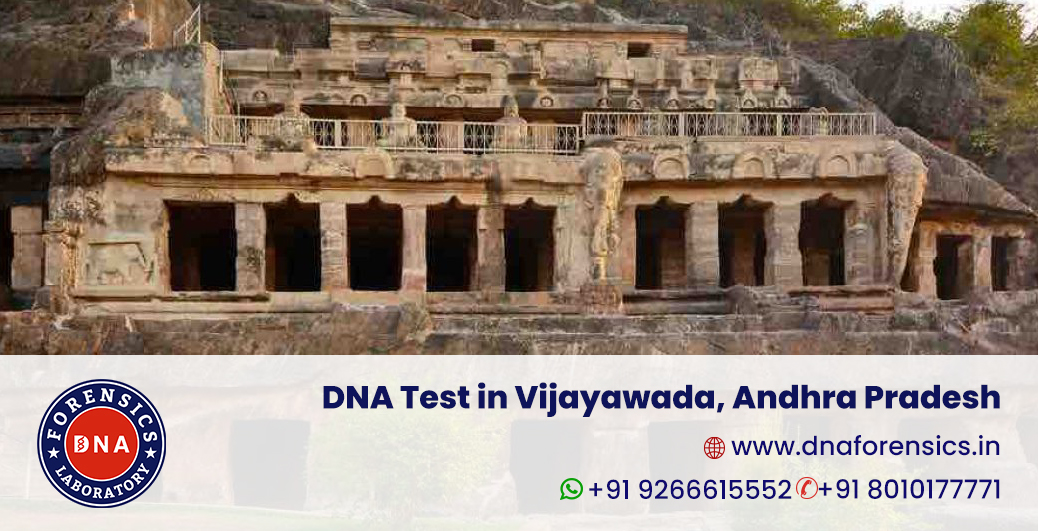 DNA Test in Vijayawada