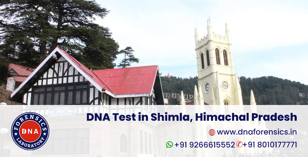 DNA Test in Shimla