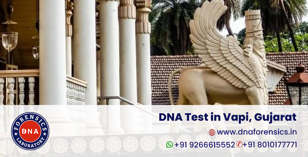DNA Test in Vapi