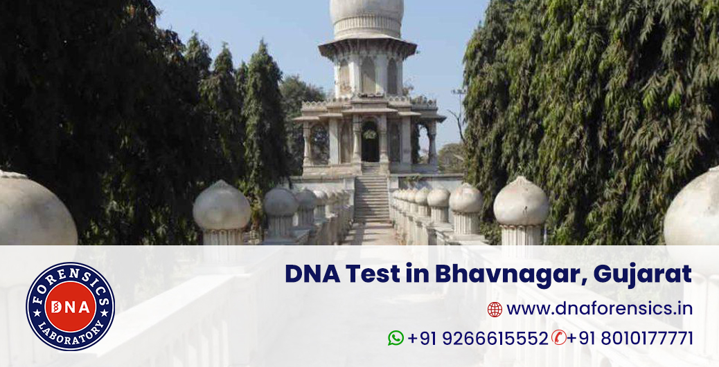 DAN Test in Bhavnagar