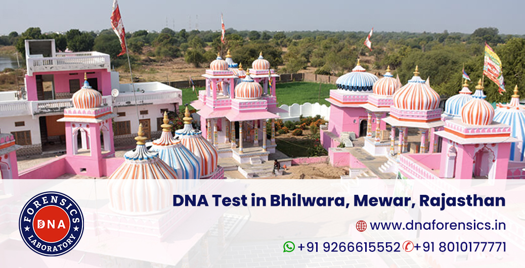 DNA Test in Bhilwara, Mewar
