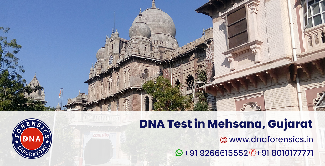 DNA Test in Mehsana