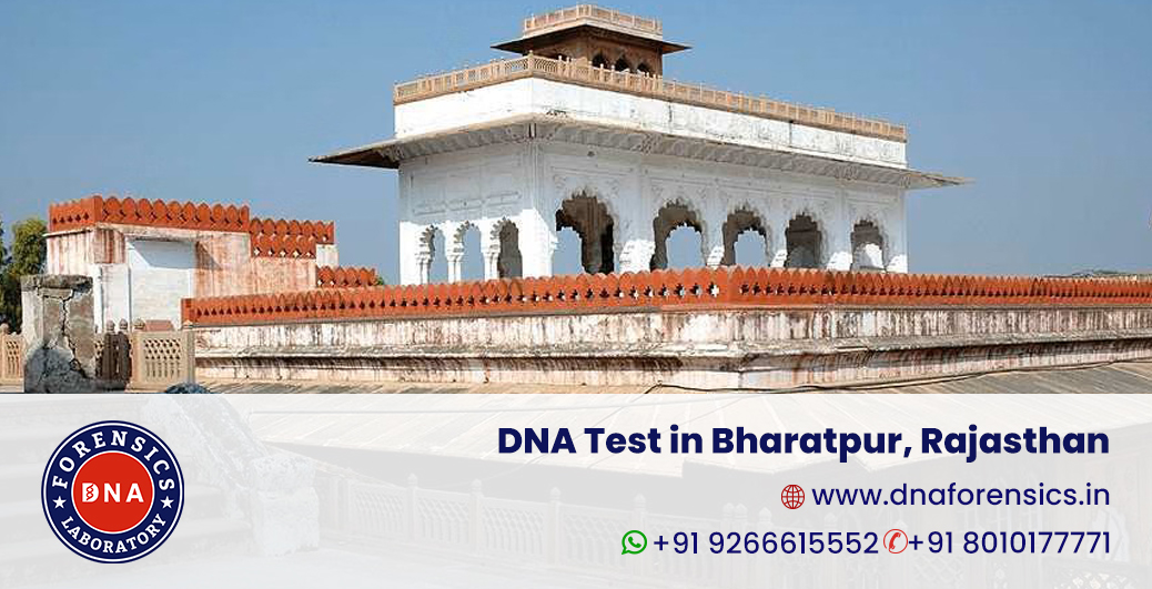 DNA Test in Bharatpur