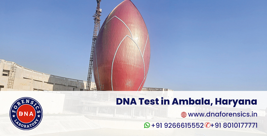 DNA Test in Ambala