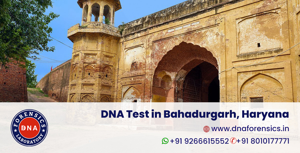 DNA Test in Bahadurgarh