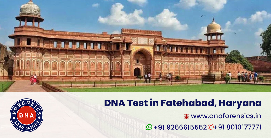 DNA Test in Fatehabad