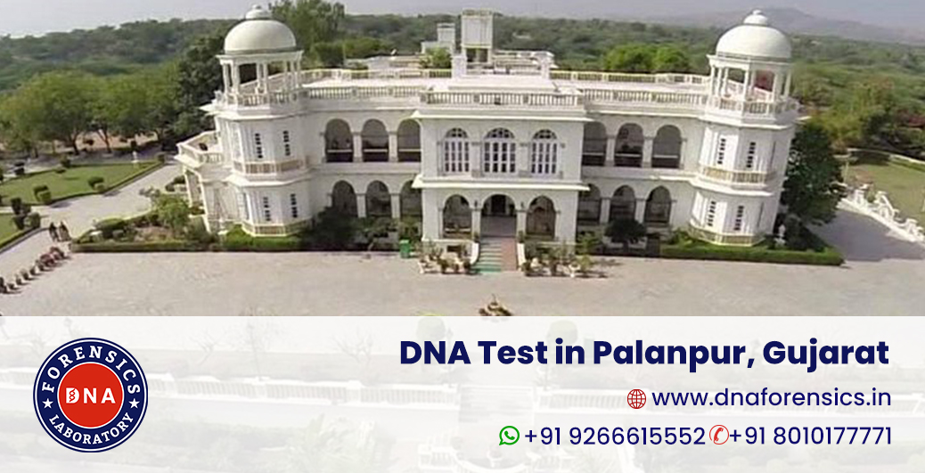 DNA test in Palanpur