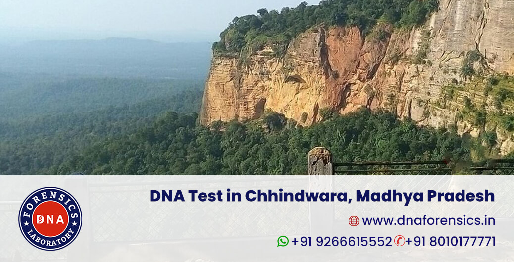 DNA Test in Chhindwara