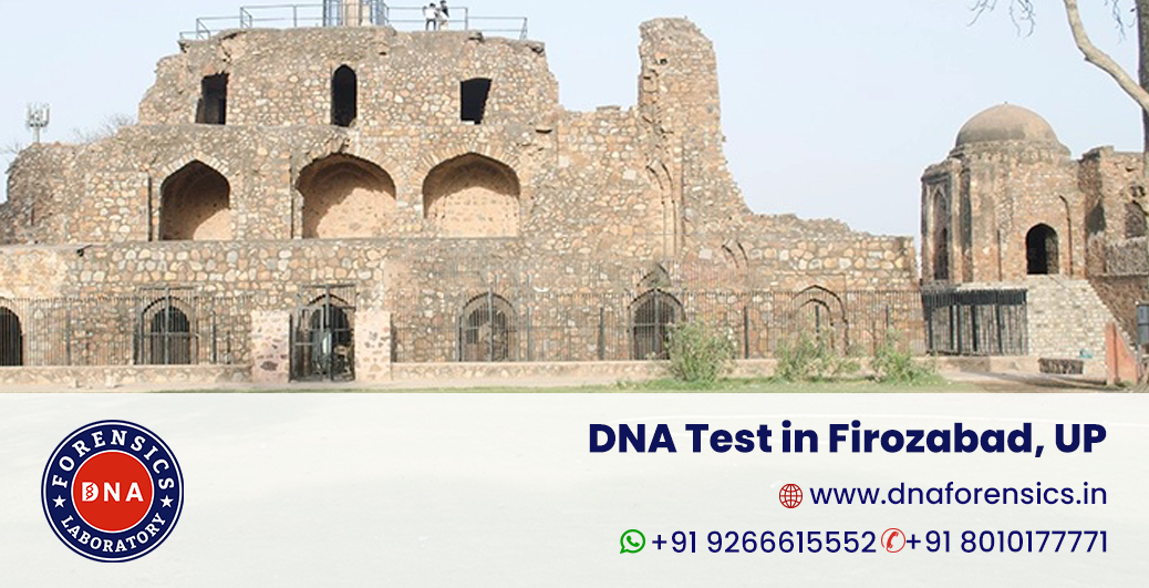 DNA Test in Firozabad