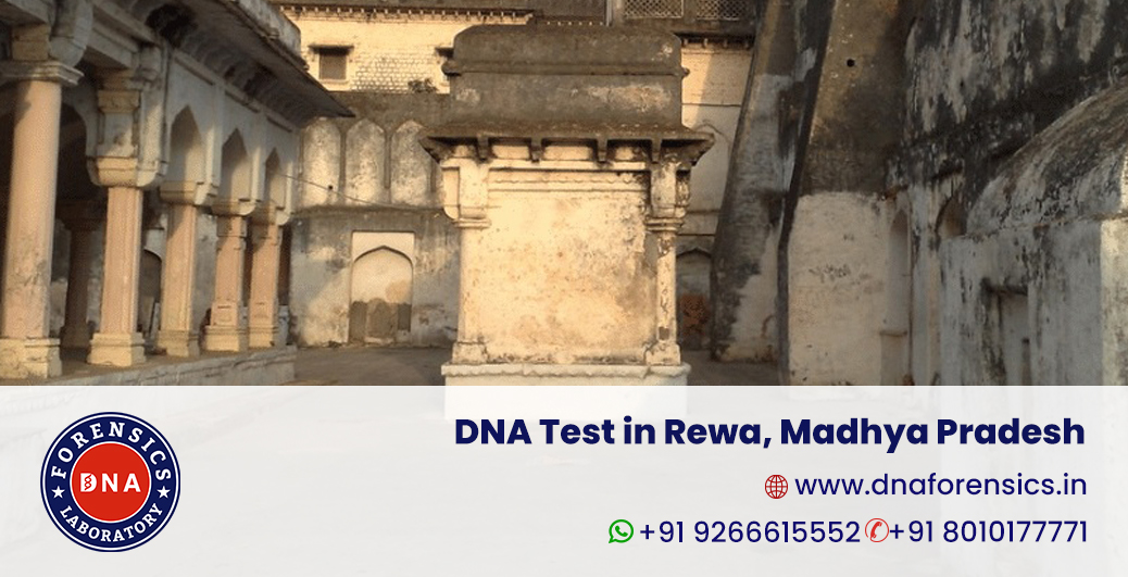 DNA Test in Rewa