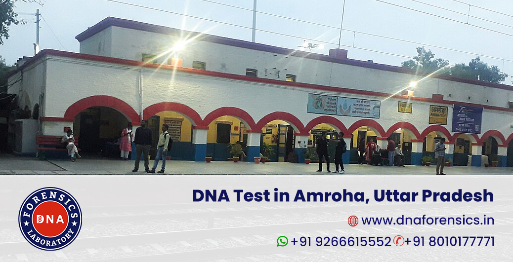 DNA Test in Amroha