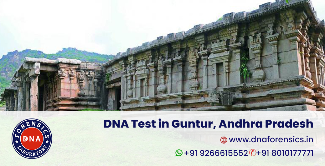 DNA Test in Guntur