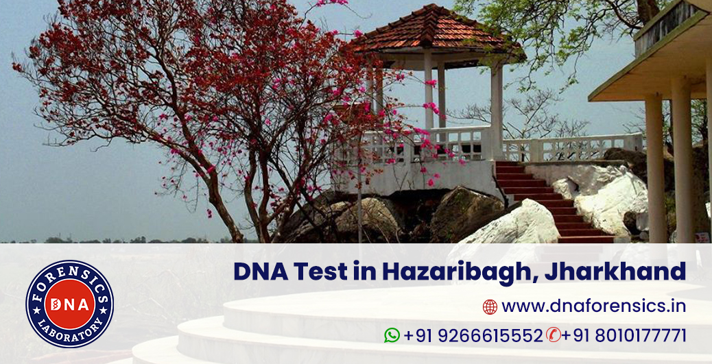 DNA Test in Hazaribagh