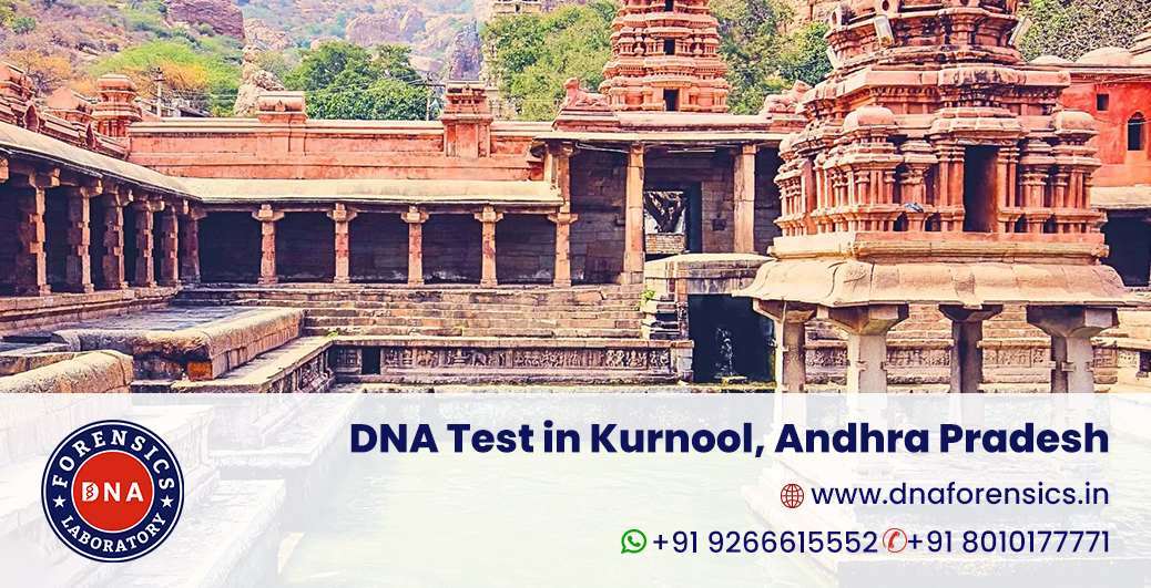 DNA Test in Kurnool
