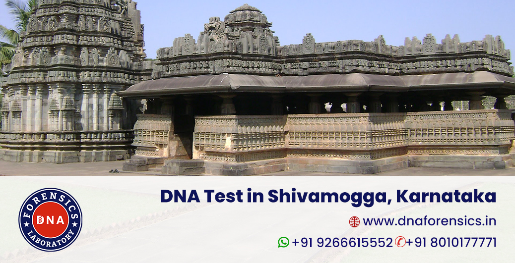 DNA Test in Shivamogga