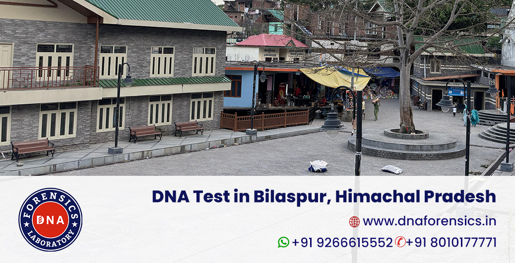 DNA test in Bilaspur