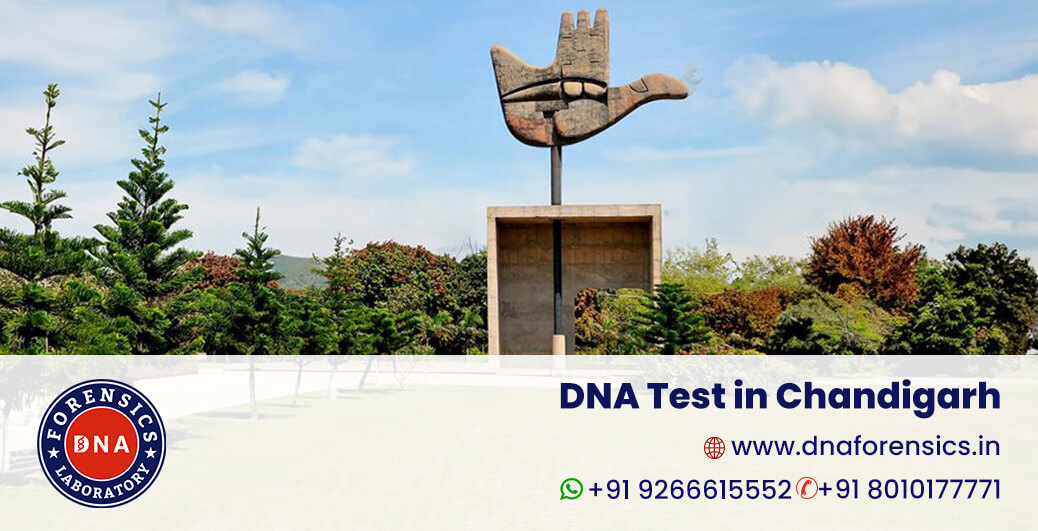 DNA Test in Chandigarh