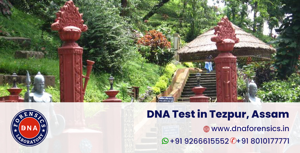 DNA Test in Tezpur