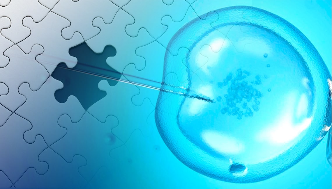 IVF-Puzzel