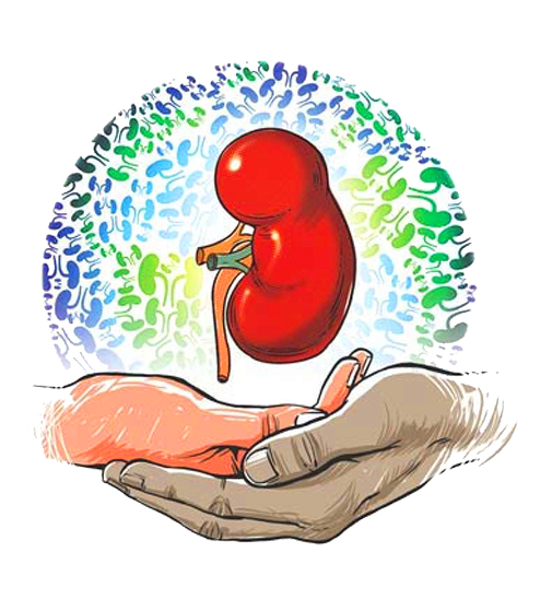 kidney disease genetic testing