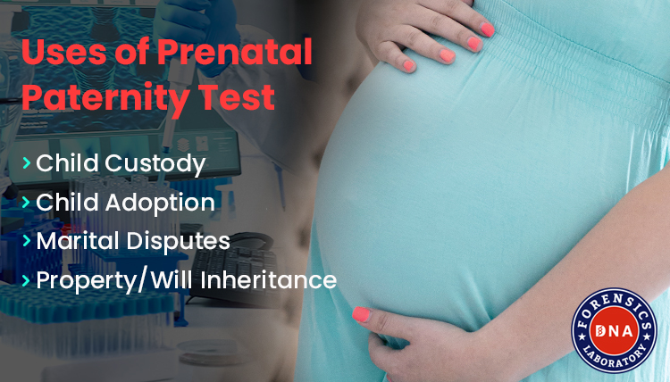 non invasive prenatal paternity test