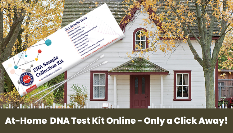 DNA Test Kit Online