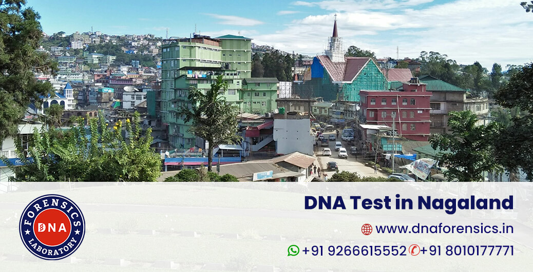 DNA Test in Nagaland