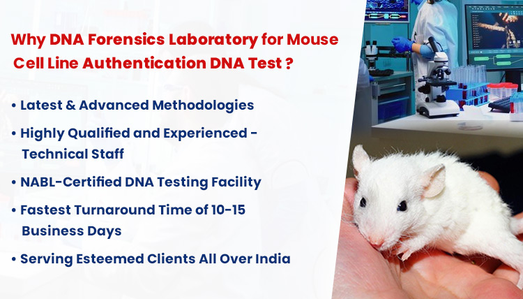 Mouse cell line authentication test in India