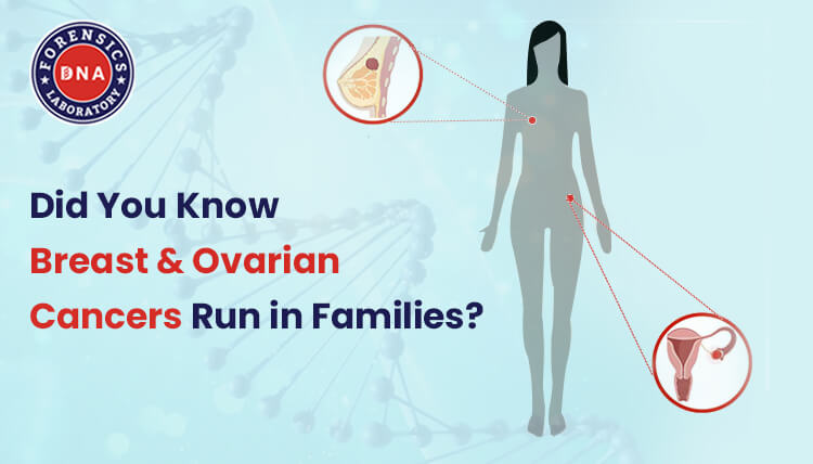 BRCA 1 & 2 Gene Test