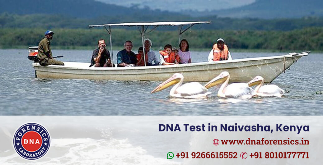 DNA Testing in Naivasha