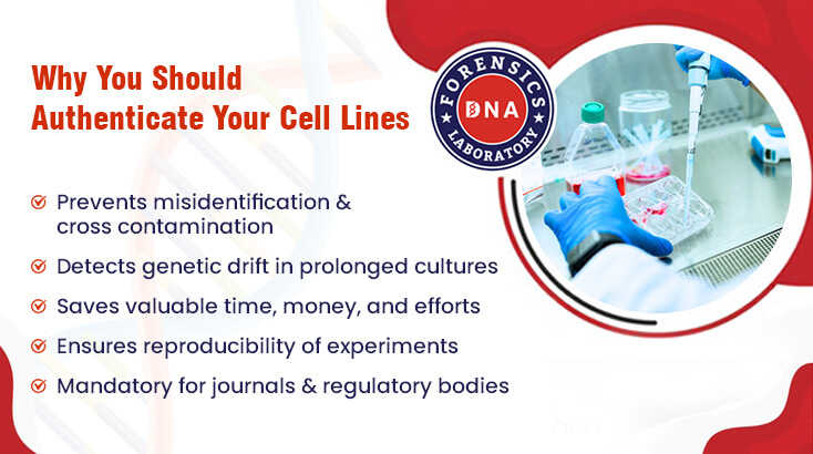 Why You Should Authenticate Your Cell Lines